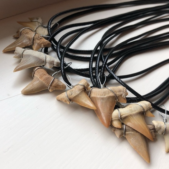 NEW  Shark Tooth Leather Choker/Necklace - Picture 5 of 8
